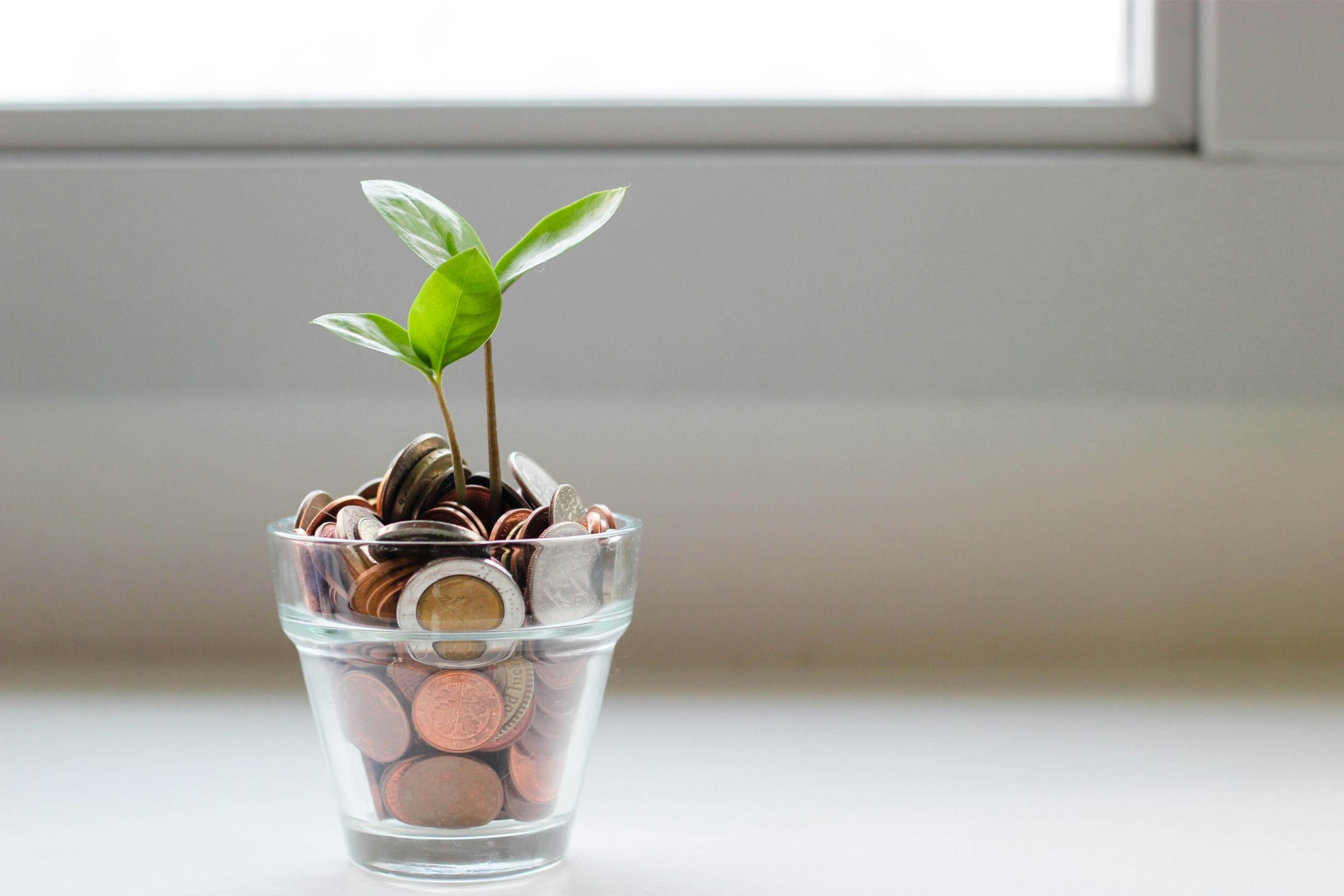 A pot of money with a plant sprouting out of the middle